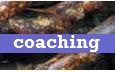 Coaching en supervisie (I en II)